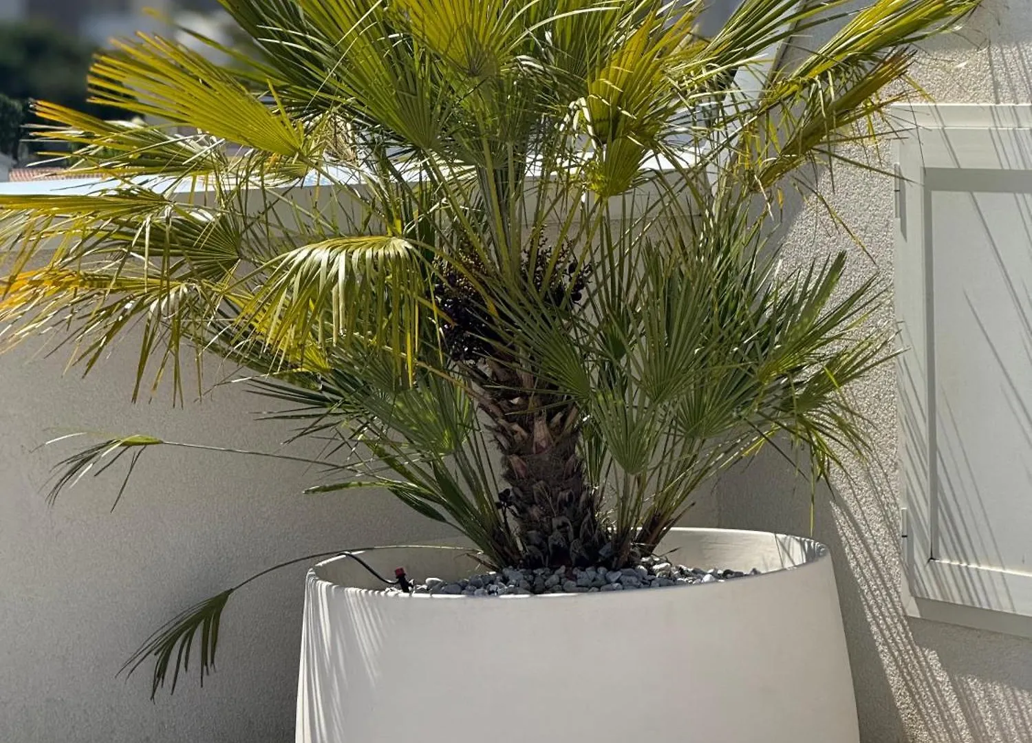 Attico Sole Apartment Lido di Jesolo 0*,
